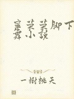 宁荣荣脚下的小舞小说