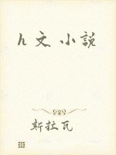 h 文 小说