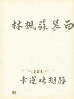 林枫苏慕白全文封面