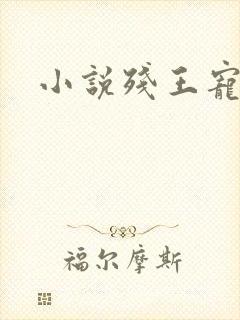 小说残王宠妃封面