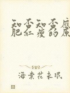 知否知否应是绿肥红瘦的原著叫什么