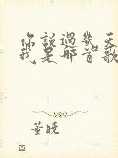 你说过几天来看我是哪首歌的歌词