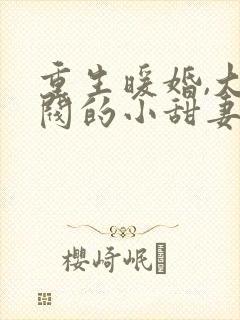 重生暖婚,大财阀的小甜妻