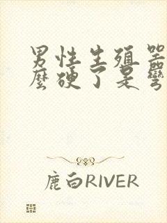 男性生殖器为什么硬了是弯的封面