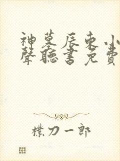 神墓辰东小说有声听书免费