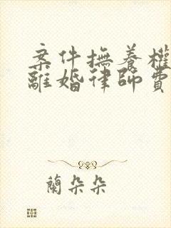 案件抚养权纠纷离婚律师费