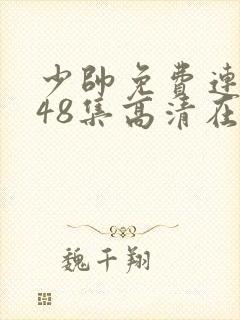 少帅免费连续剧48集高清在线观看