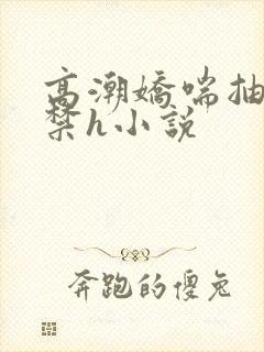 高潮娇喘抽搐失禁h小说封面