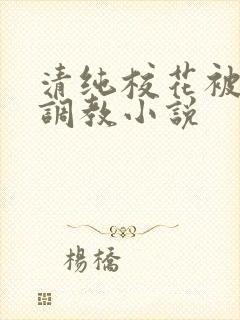 清纯校花被地狱调教小说