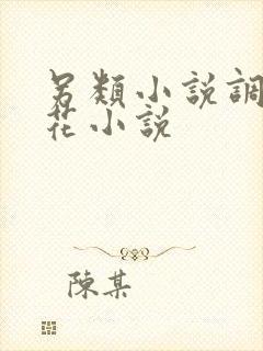 另类小说调教警花小说封面