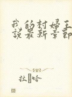 我的村妇王芳小说最新章节更新时间