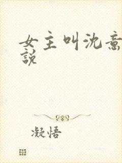 女主叫沈意的小说