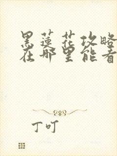 黑莲花攻略手册在哪里能看封面