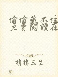 偷偷藏不住小说免费阅读在线封面