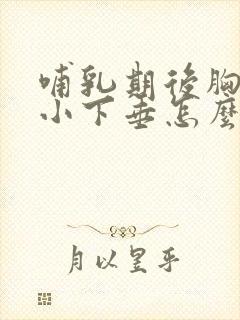 哺乳期后胸部变小下垂怎么办封面