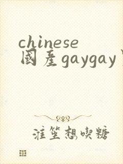 chinese国产gaygay男男网站