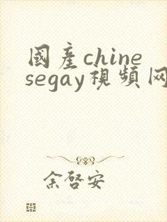 国产chinesegay视频网站封面