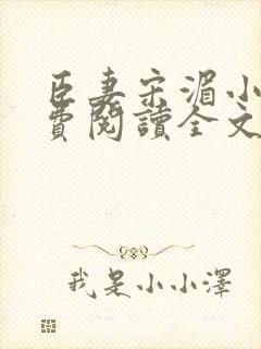 臣妻宋湄小说免费阅读全文