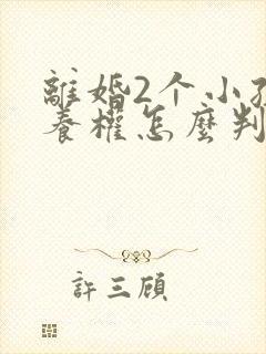 离婚2个小孩抚养权怎么判定