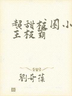 超甜校园小说男主校霸