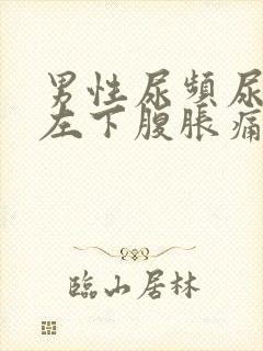 男性尿频尿不尽左下腹胀痛