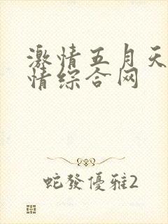 激情五月天,激情综合网