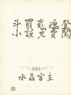 斗罗武魂登龙剑小说免费阅读