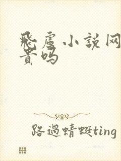 飞卢小说网看书贵吗封面