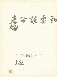 老公说要和我离婚封面