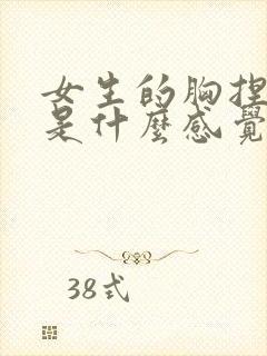 女生的胸捏起来是什么感觉