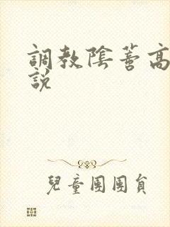 调教阴蒂高h小说封面