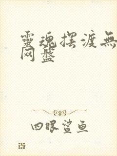 灵魂摆渡无删减网盘