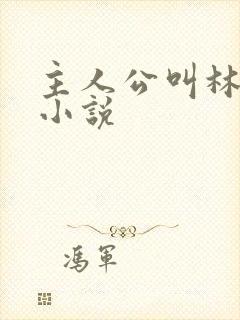 主人公叫林婉的小说