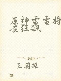 原神雷电将军入夜狂飙