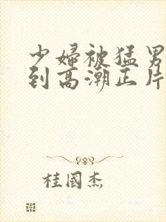 少妇被猛男蹂躏到高潮正片封面