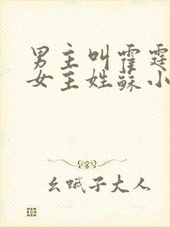 男主叫霍霆琛的女主姓苏小说封面