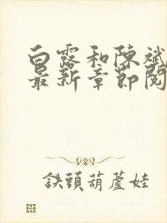 白露和陈斌小说最新章节阅读封面