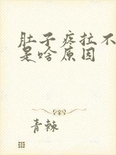 肚子疼拉不出屎是啥原因