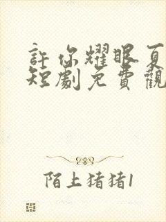 许你耀眼夏晴子短剧免费观看全集