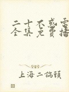 二十不惑电视剧全集免费播放封面