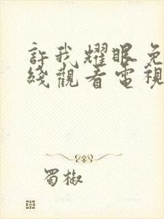 许我耀眼免费在线观看电视剧