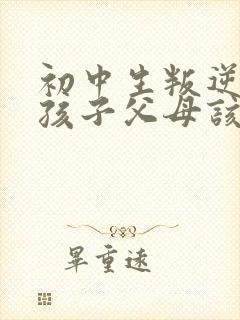 初中生叛逆期的孩子父母该怎么沟通