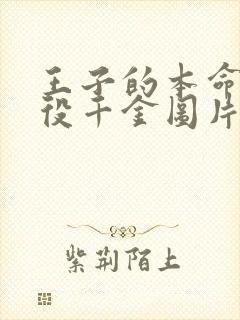 王子的本命是恶役千金图片封面