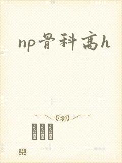 np骨科高h