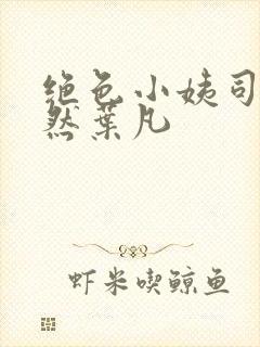 绝色小姨司空嫣然叶凡