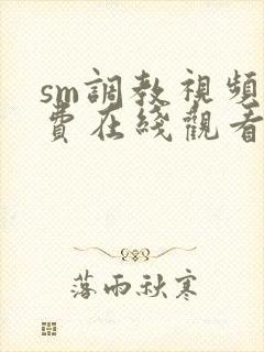 sm调教视频免费在线观看
