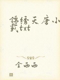 锦绣天唐小说下载txt封面