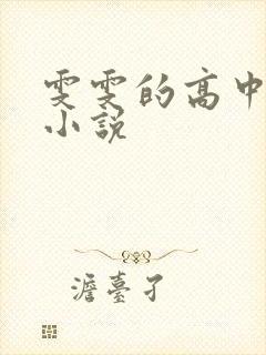 雯雯的高中日记小说