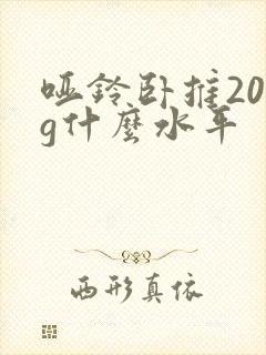 哑铃卧推20kg什么水平