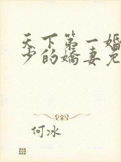 天下第一婚宠慕少的娇妻免费阅读